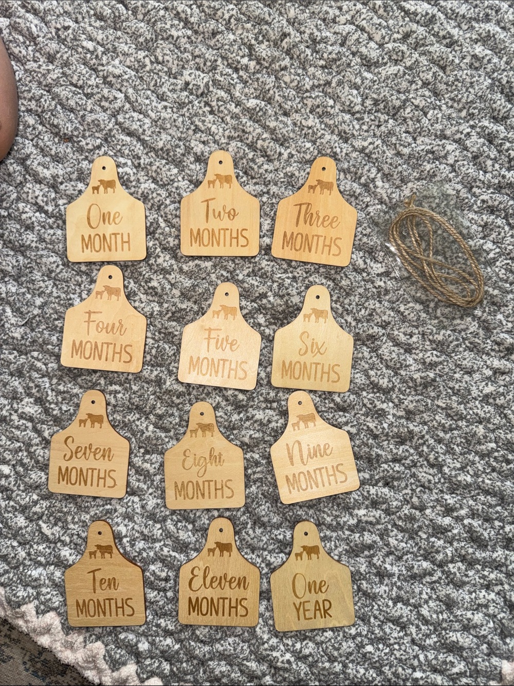 Amazon Wooden Baby Monthly Milestone Tags - Natural Wood